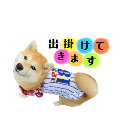 [LINEスタンプ] 苺香ちゃんの日常(2)