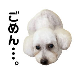 [LINEスタンプ] バニラっていいます