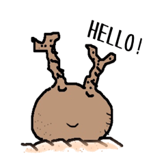 [LINEスタンプ] パキポキ グラキリスさん