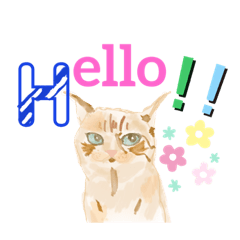 [LINEスタンプ] 猫のアジャのDailyスタンプ