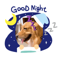 [LINEスタンプ] 愉快な怜央6