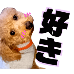 [LINEスタンプ] ここさんこれくしょん2