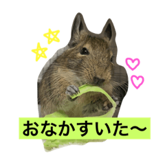 [LINEスタンプ] デグーのぐみちゃん