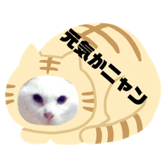 [LINEスタンプ] スペシャル作品