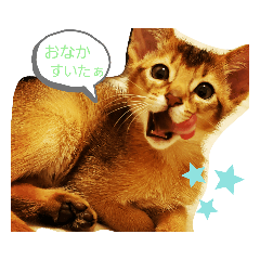 [LINEスタンプ] ホッケスタンプ