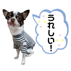 [LINEスタンプ] 加賀谷グレフス超太郎の日常 2