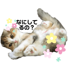 [LINEスタンプ] おひめちゃま