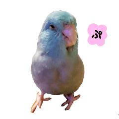 [LINEスタンプ] ピスタチオとブルー2