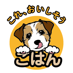 [LINEスタンプ] ジャックラッセルテリアの楽しい毎日