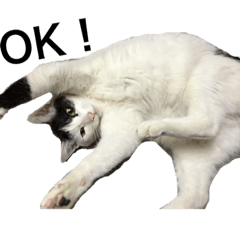[LINEスタンプ] PETs_01