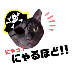 [LINEスタンプ] にやーの生活