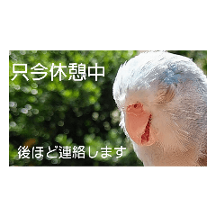 [LINEスタンプ] 私のお気に入りファミリー7
