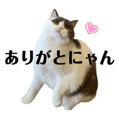 [LINEスタンプ] つぶの一言