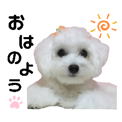 [LINEスタンプ] 小町さんの日常3