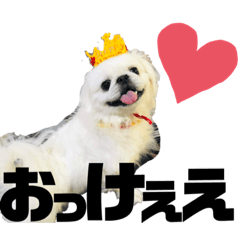 [LINEスタンプ] ペキニーズ4
