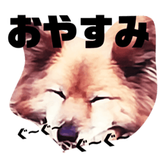 [LINEスタンプ] 愛犬スタンプ❶