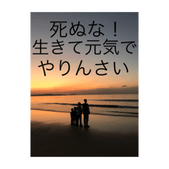 [LINEスタンプ] 何故こうなった！スタンプ