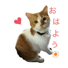 [LINEスタンプ] 柑橘姉弟1