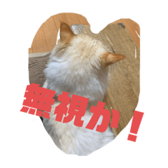 [LINEスタンプ] 猫のレオンくん