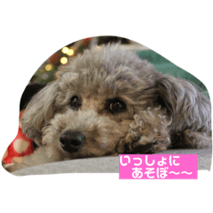 [LINEスタンプ] R＆L といぷーず