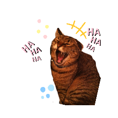 [LINEスタンプ] 猫ちゃんずLove♡