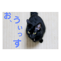 [LINEスタンプ] フォル姫 パートⅡ