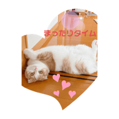 [LINEスタンプ] もこの日常すたんぷ
