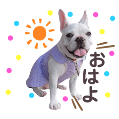 [LINEスタンプ] ブヒ♡フレブル