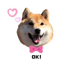 [LINEスタンプ] ぴっちょんスタンプ