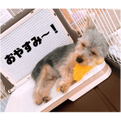 [LINEスタンプ] 旭ぽんず