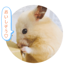 [LINEスタンプ] ふくちゃんスタンプ☺︎