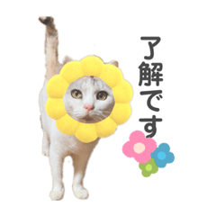 [LINEスタンプ] みっきゃとすずちゃんの日常
