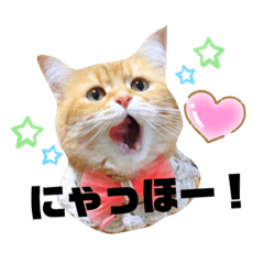 [LINEスタンプ] ナノちゃんの日常スタンプ