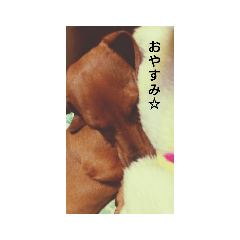 [LINEスタンプ] 天国の相棒たち