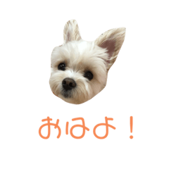 [LINEスタンプ] メル坊スタンプ2