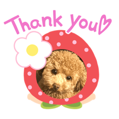 [LINEスタンプ] ♡二人は親友♡