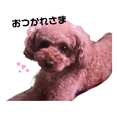 [LINEスタンプ] ぷーどる すたんぷ