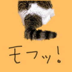 [LINEスタンプ] ちあーず 2