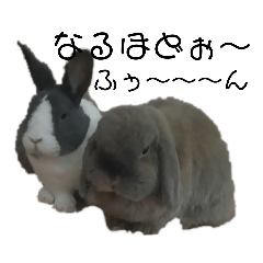 [LINEスタンプ] うさぎのモモ＆チョッチョ。