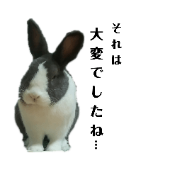 [LINEスタンプ] うさぎのモモとチョッチョ。