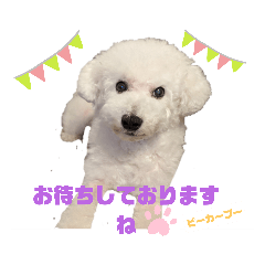 [LINEスタンプ] ピーカーブー