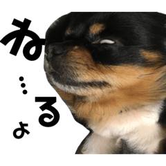 [LINEスタンプ] りきくんだよぉぉ