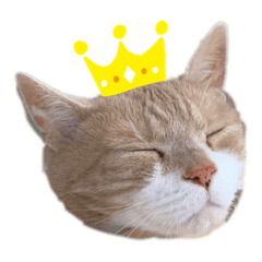 [LINEスタンプ] ふくのすたんぷ 1