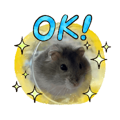 [LINEスタンプ] はむきち＆ぽちこのすたんぷ！