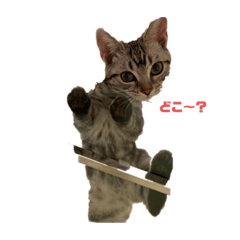 [LINEスタンプ] dear riri