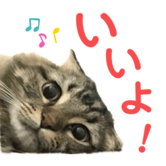 [LINEスタンプ] けだま！！
