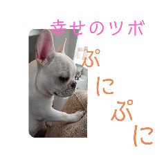 [LINEスタンプ] よもぎシリーズ②