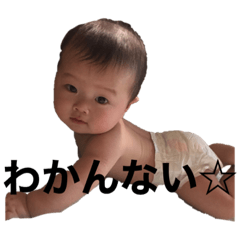 [LINEスタンプ] ぶぉく！