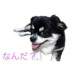 [LINEスタンプ] 宙ちゃんスタンプ