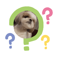 [LINEスタンプ] 可愛いワン？   1